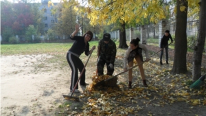 Предприятия, организации, учреждения и жители Московского района г. Чебоксары принимают активное участие в осенних санитарно-экологических мероприятиях