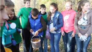 Работники Шумерлинского лесничества совместно с учащимися школ г. Шумерли в рамках республиканской акции «Лесной сбор» собрали семена дуба