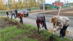 Посадка деревьев в новом детском саде