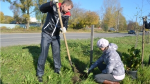 В Шумерле прошел День дерева