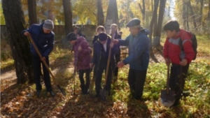 Гимназисты города Мариинский Посад – активные участники Всероссийской акции «Живи лес»