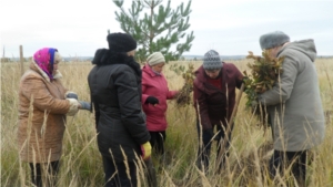 Тувсинцы поддержали экологическую акцию «Живи, лес!»