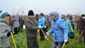 Субботник, акция "Посади дерево, сохрани его"