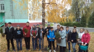200 новых саженцев появилось в г. Шумерля в рамках всероссийской акции «Живи, лес!»
