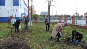 В Яльчикском районе продолжаются мероприятие по посадке деревьев