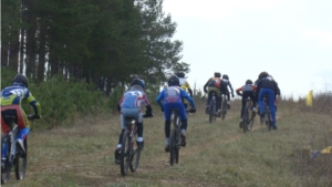Соревнования по велоспорту-маунтинбайку в дисциплине велокросс