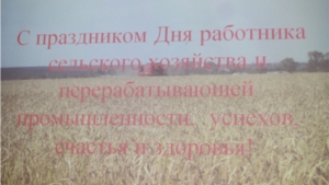 День работника сельского хозяйства и перерабатывающей промышленности