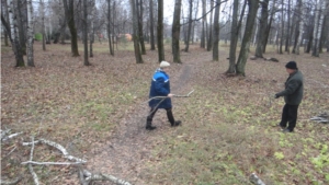 В городском парке продолжились работы по выборочной санитарно-оздоровительной вырубке деревьев