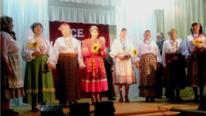 На сцене Новинского городского дома культуры прошел тематический концерт «Все работы хороши»