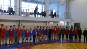 Жаркие схватки на борцовском ковре