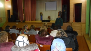 В преддверии новогодних праздников отделением надзорной деятельности по Яльчикскому району проводятся надзорно - профилактические мероприятия
