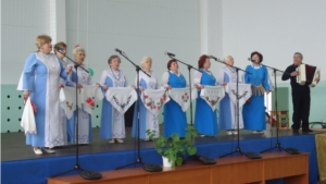 Ансамбль &quot;Туслăх&quot; в Николаевском сельском поселении