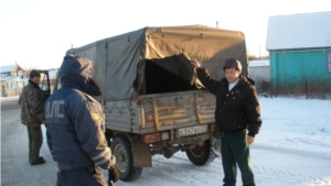 Рейд в Ибресинском лесничестве