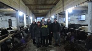 В Яльчикском районе проводится объезд животноводческих помещений