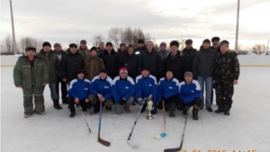Чемпионат по хоккею