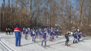 III этап Кубка города по лыжным гонкам «Алатырская лыжня – 2015»