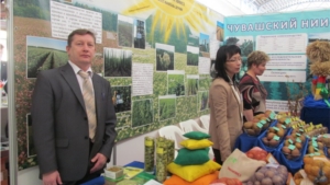 Аграрии Цивильского района приняли участие на отраслевой выставке «Картофель - 2015»