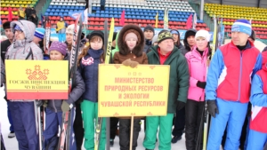 Команда Минприроды Чувашии приняла участие в XIV физкультурно-спортивной спартакиаде