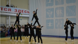 Чемпионат и первенство Приволжского федерального округа по спортивной аэробике