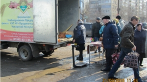 Ярмарка «Покупай дешевле»: цены радуют покупателей