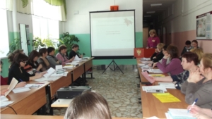 Педагоги Мариинско-Посадского района прошли стажировку по теме «Организационно-содержательные аспекты комплексного сопровождения детей с ОВЗ»
