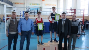 В с. Аликово прошли соревнования по боксу