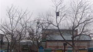 Глава Ядринской районной администрации Владимир Кузьмин принял участие в экологической акции по изготовлению скворечников