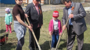 Акция "Сирень Победы" в с.Стемасы