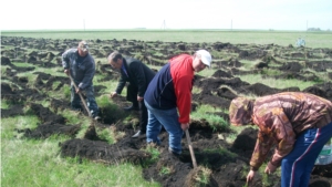 Новый парк в честь 70-летия Победы  заложен на территории Полевосундырского сельского поселения