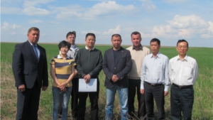 Китайская делегация в Цивильском районе