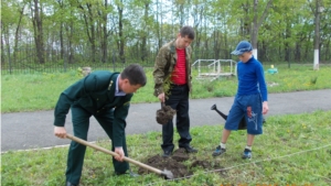 Опытное лесничество в рамках Всероссийского дня посадки леса провело мероприятие в Цивильской школе-интернате