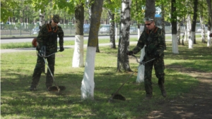 В Московском районе г. Чебоксары работники жилищно-коммунального блока приступили к покосу травы