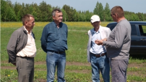 Заместитель министра сельского хозяйства Чувашской Республики Н.П. Якимов ознакомился с ходом посадки картофеля
