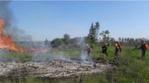 В Мариинско - Посадском лесничестве проведены тактико-специальные учения по тушению лесных пожаров