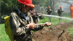 Экстренные службы Ядринского района провели учения по тушению лесного пожара в 77 квартале лесного массива Ядринского лесничества