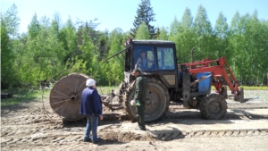 Лесовосстановительные мероприятия в Ибресинском лесничестве