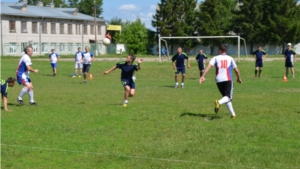 В Мариинско-Посадском районе прошли соревнования по мини-футболу среди работников органов государственной власти и местного самоуправления Чувашской Республики