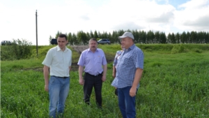 Министр сельского хозяйства Чувашии Сергей Павлов осмотрел посевы сельхозпредприятий Порецкого района