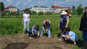 В Мариинско-Посадском районе продолжаются работы по благоустройству территории