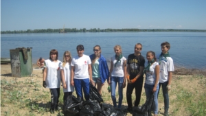 В рамках акции «Чистый берег» молодогвардейцы Козловского района организовали уборку прибрежной полосы реки Волга
