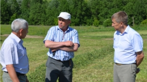 В сельхозорганизациях и крестьянско-фермерских хозяйствах Мариинско-Посадского района начинается кормозаготовка