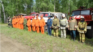 В Кирском лесничестве прошли учения по тушению лесных пожаров