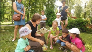 Летние мероприятия, проведенные городскими библиотеками