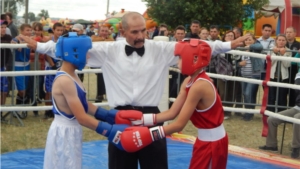 В дни традиционной Тихвинской ярмарки состоялся IX открытый республиканский турнир по боксу на призы Юрия Федорова
