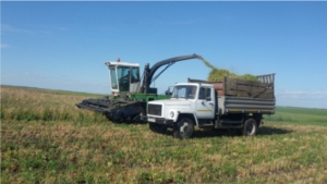 В СХПК "Комбайн" идет заготовка сенажа из однолетних трав