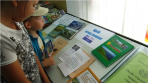День экологии в Булдеевской сельской библиотеке