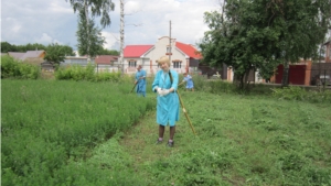 Сотрудники БУ ЧР «Батыревская зональная ветлаборатория» Госветслужбы Чувашии заготавливают корма для животных