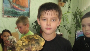 Грибной марафон