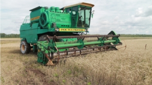 Уборка озимой пшеницы в ООО "Владино-Агро"
