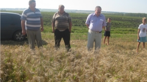 Глава администрации Порецкого района Евгений Лебедев ознакомился с ходом уборочных работ в хозяйствах начинающих фермеров